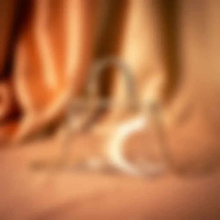 Stylish clear jewelry bags on a chic backdrop