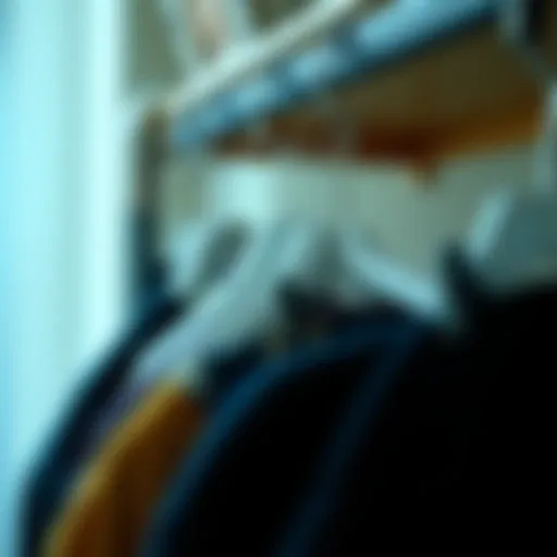 Stylish clip hanger showcasing pants organization