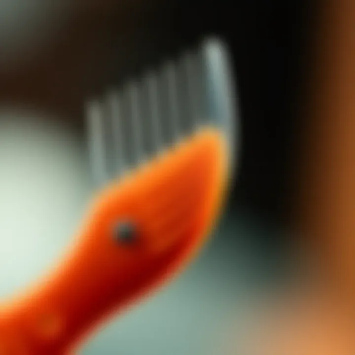 Detailed view of a heat resistant rat tail comb showcasing its fine teeth and sleek design