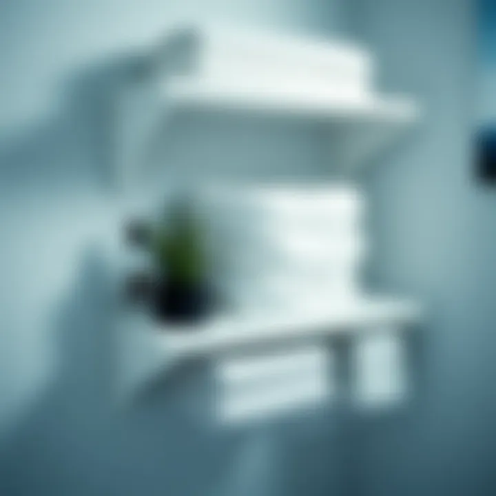 Organized bathroom shelf with absorbent liners