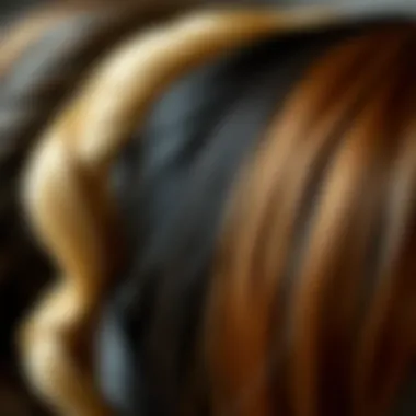 Comparison of various textures of premium hair wigs