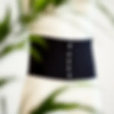 Elegant Waist Toning Accessory A stylish waist toner displayed on a neutral background