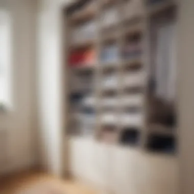 A minimalist wardrobe featuring innovative underwear storage